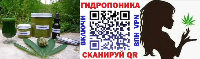 купить   Казань  ОМГ ОМГ как зайти  Canna-Cookies конопля 