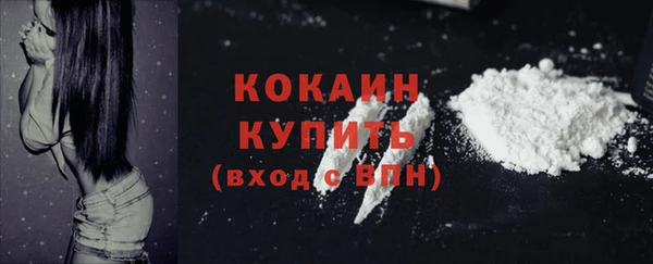 гашик Беломорск