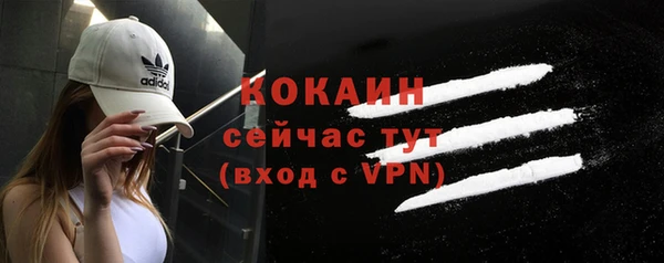 ешки Белокуриха