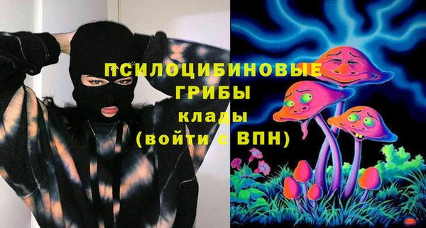 гашик Беломорск