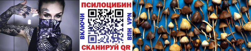 Галлюциногенные грибы Magic Shrooms Казань